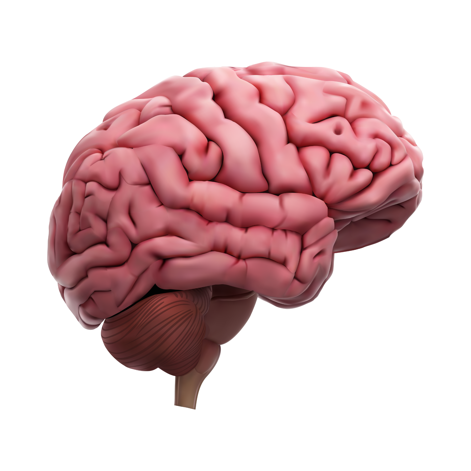 Copia de Design sem nome 63